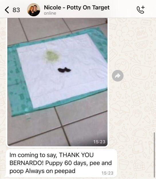 Imagem do WhatsApp de 2024-07-24 à(s) 16.30.51_5b649a85 1