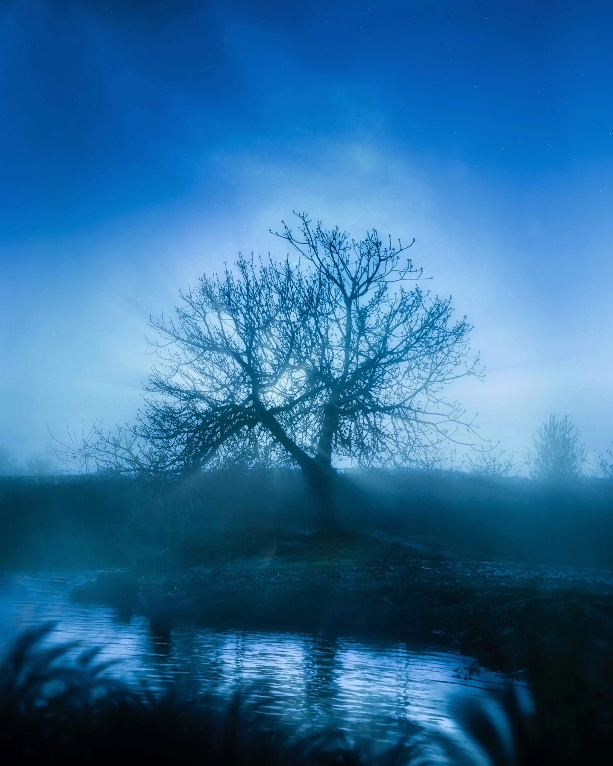 mehdi-messrro-3d6RkPhSHR4-unsplash-scaled-1.jpg