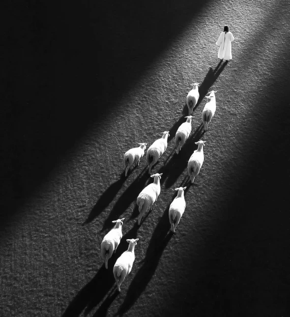 image1711x